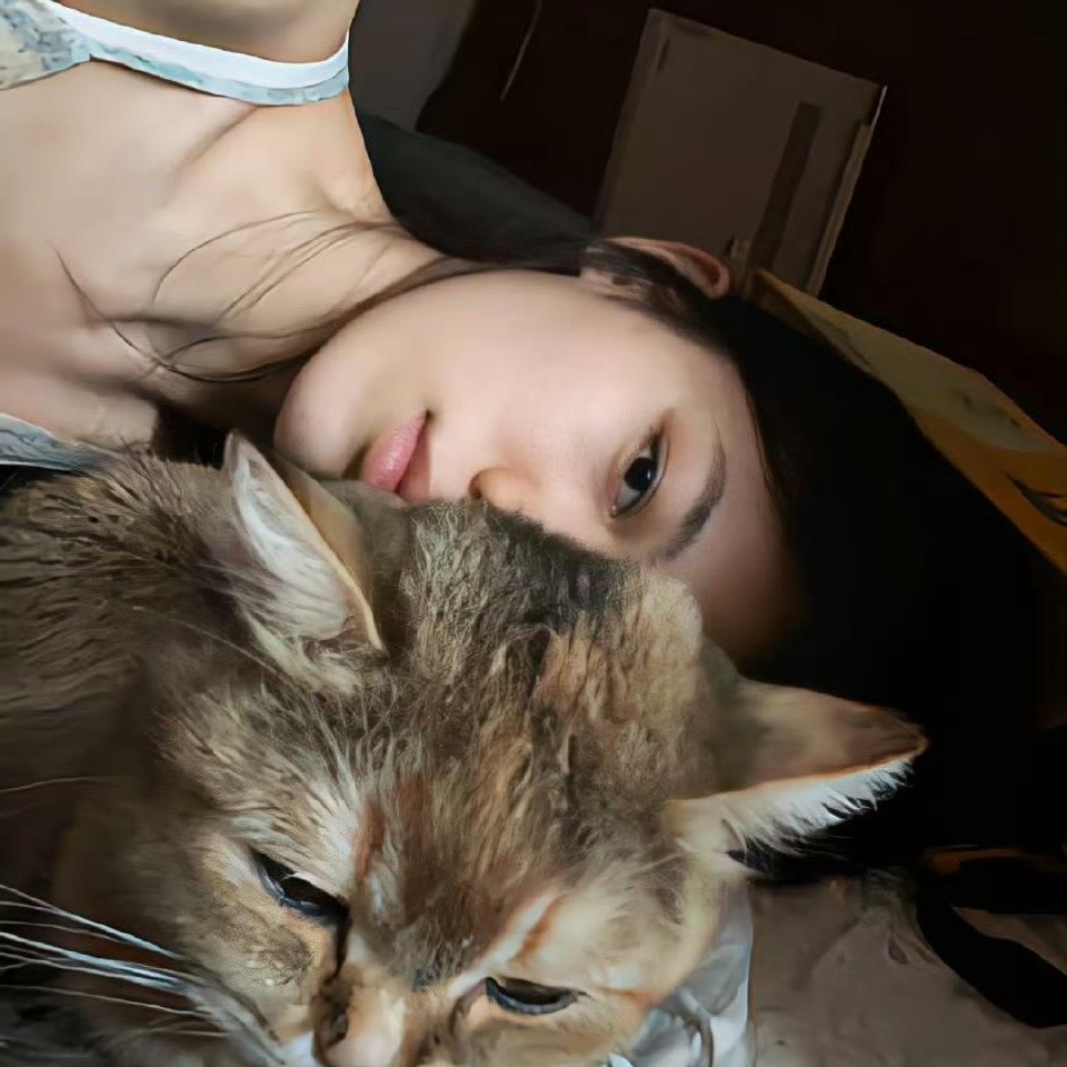 泡泡