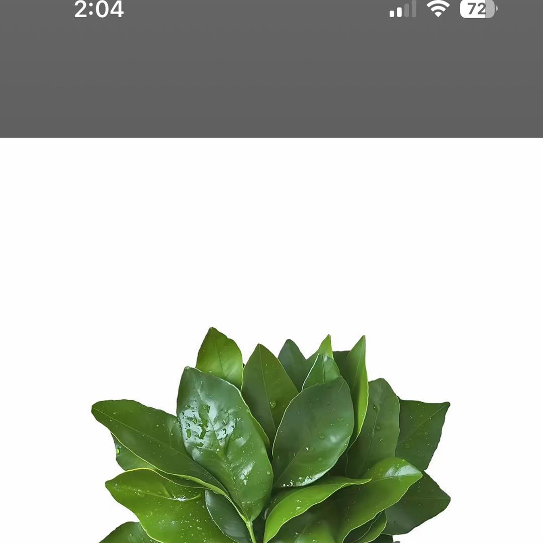新沂市汇兆贸易有限公司