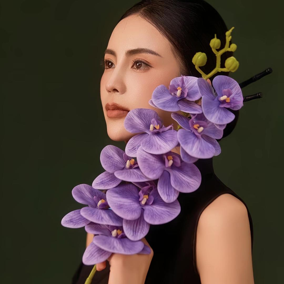 老高的百宝箱6