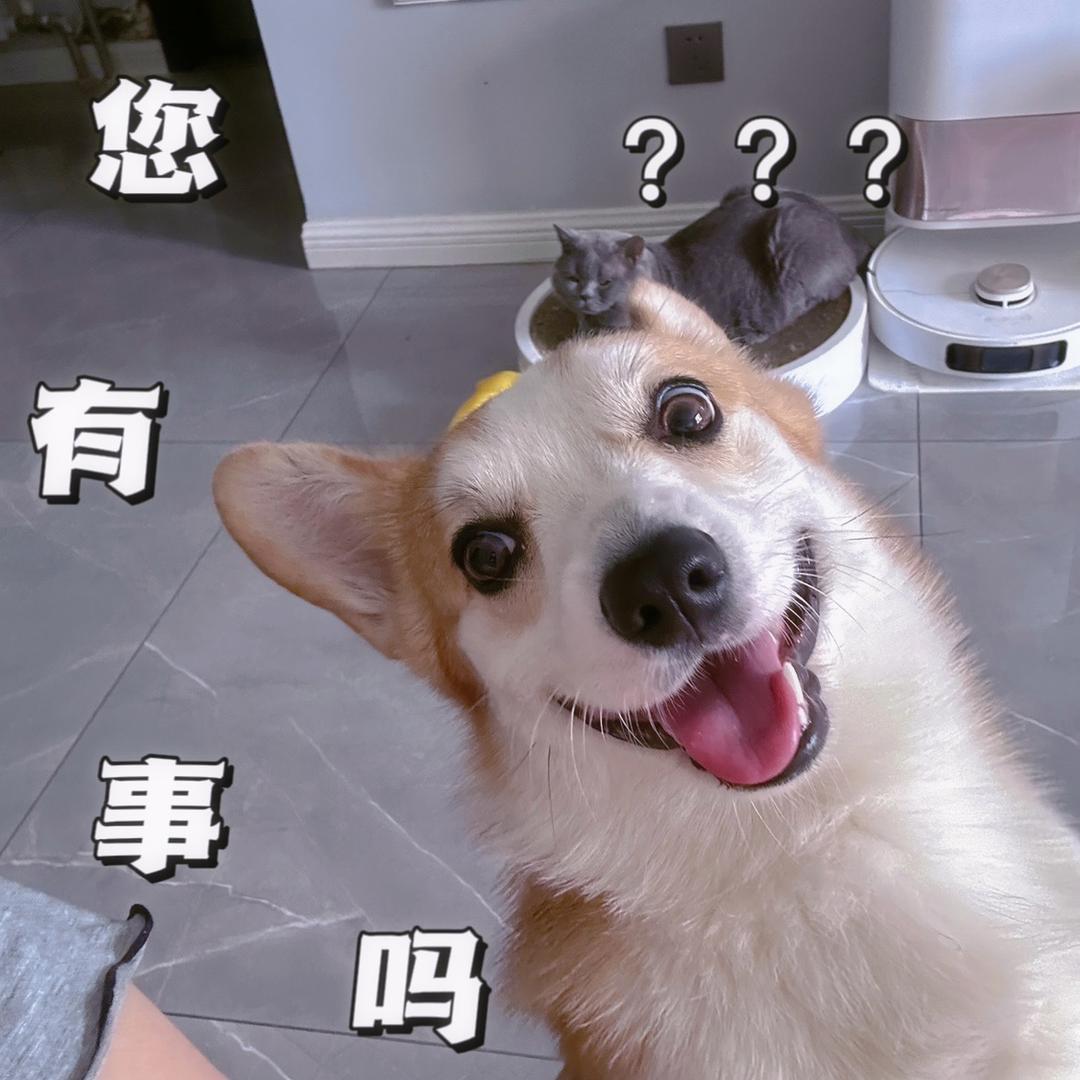 😈阿冉儿a