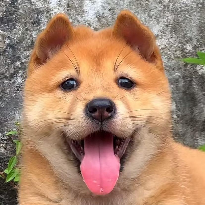 老王真不抽烟