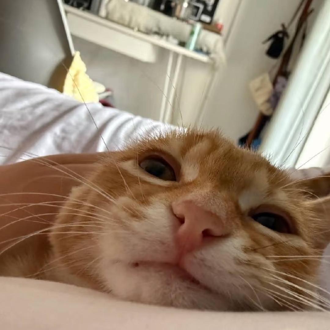 ^^_^^_