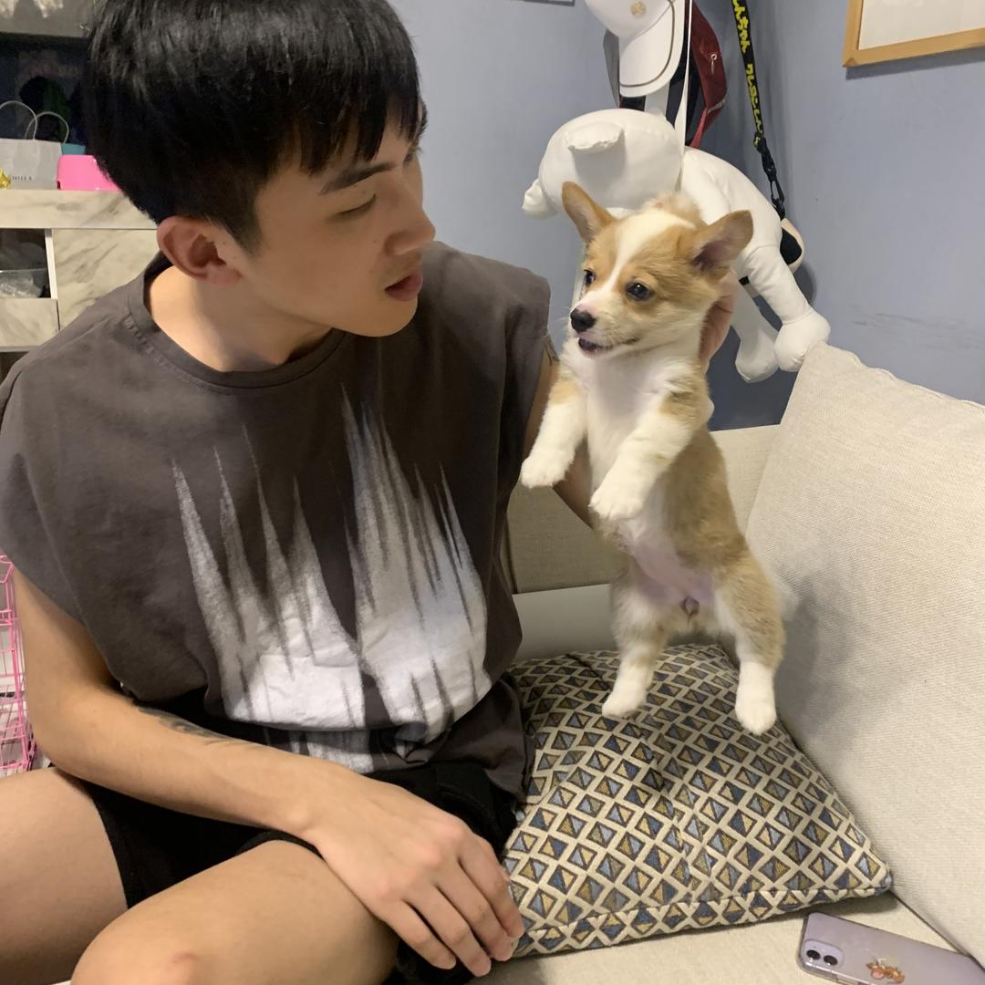 嘟嘟和它爸