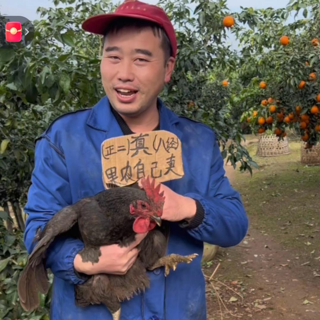 小李夫妇（日常号）