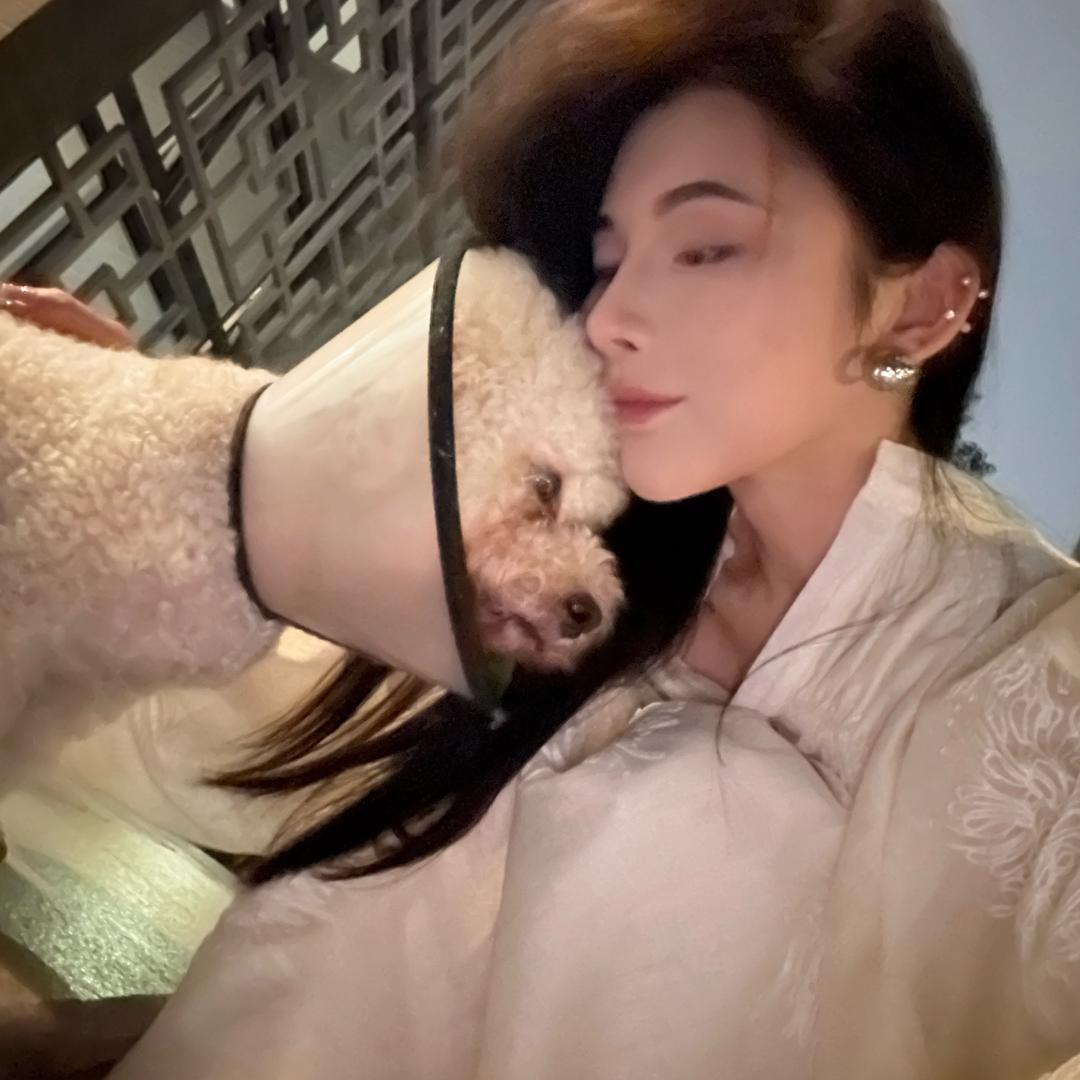 婉婷不停