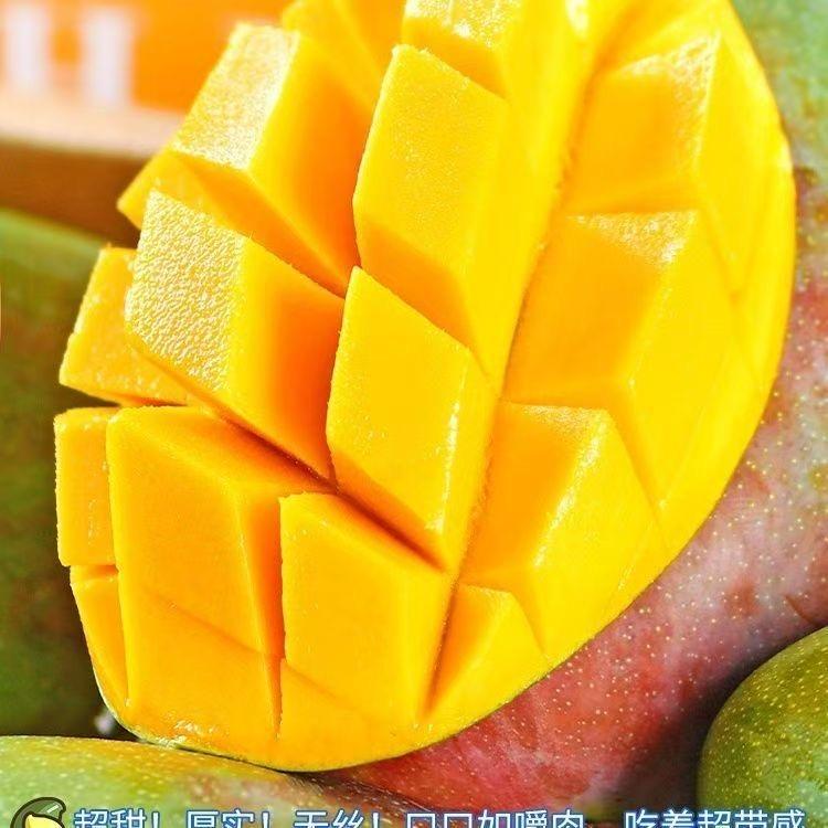 大大小小水果铺