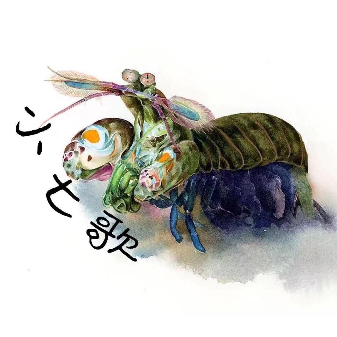 小七歌
