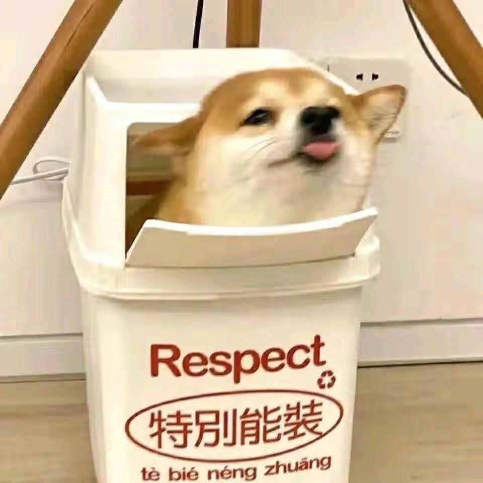 苦茶子