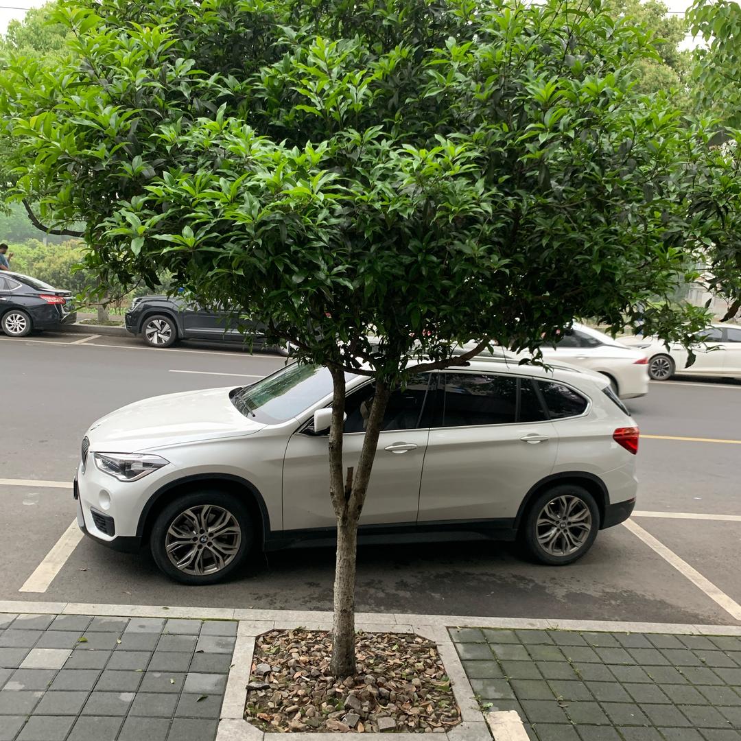 福建杨姐