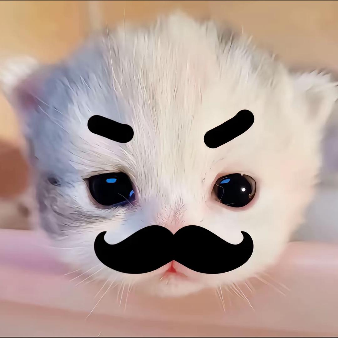 鱼鱼鱼鱼