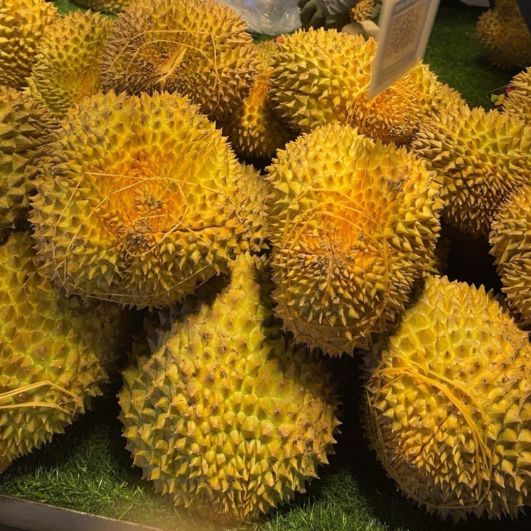 🌈.爱吃榴莲🌈