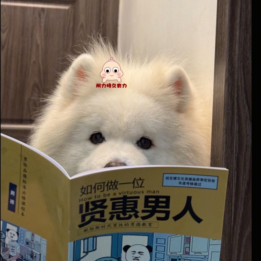 Allen ？⁵²⁵