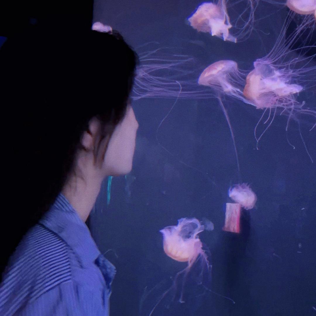 启航星