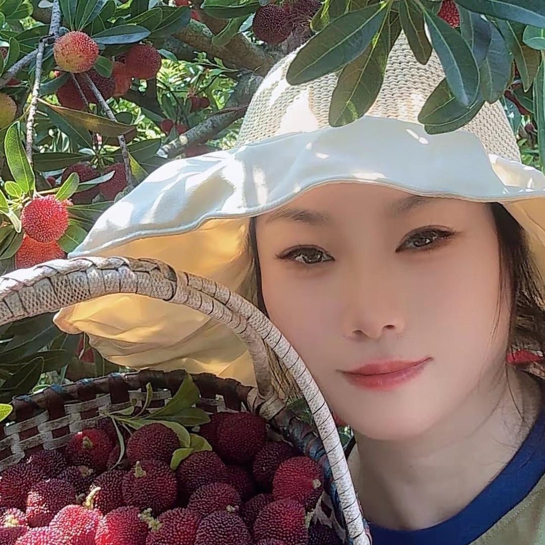 文成小叶农产品