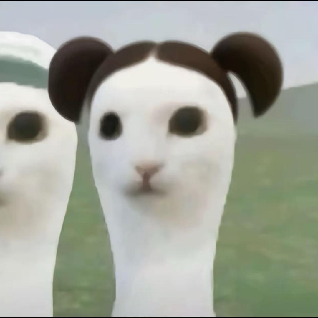 你怎么呆呆的