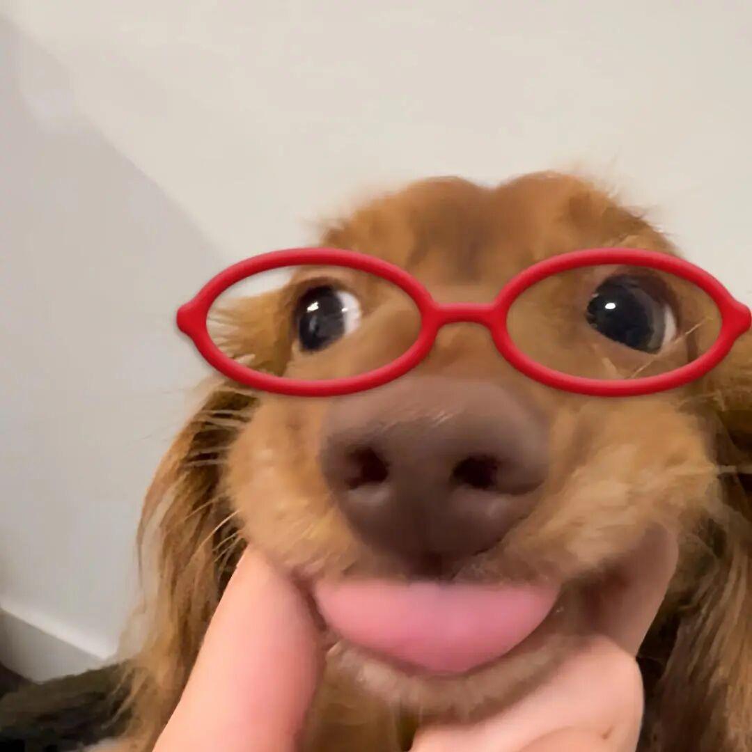 N❷