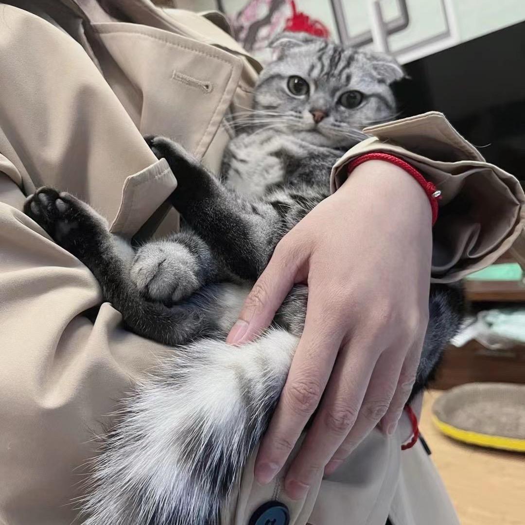 青青吖