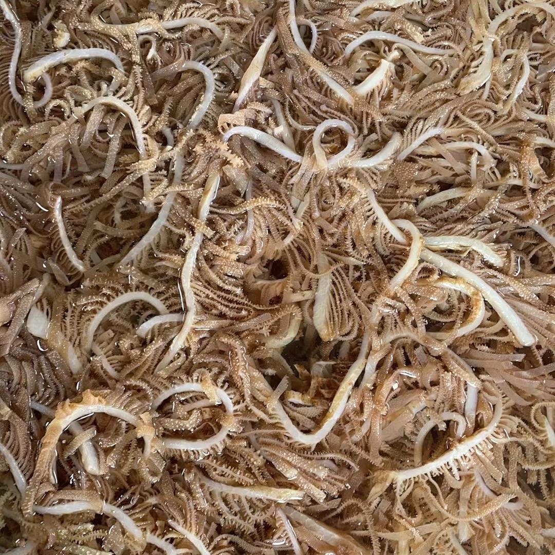 丰色丰色