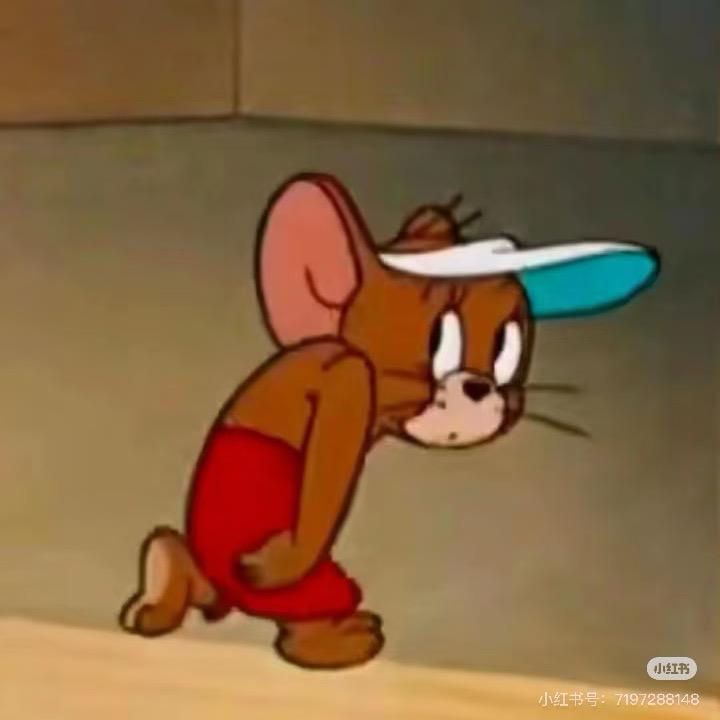 🍉嘻嘻日记📷