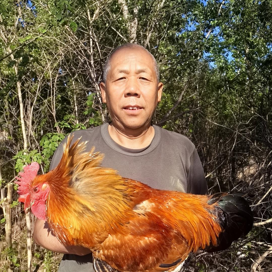 天天蛋坊