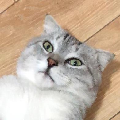 张晓花