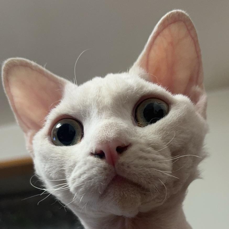 偷看源世凯玺澡