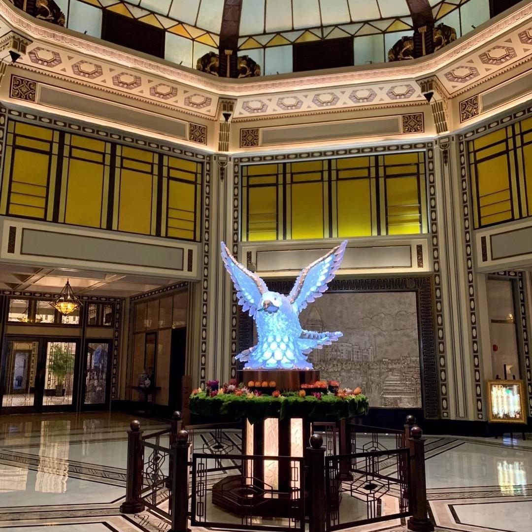 宝总. 搞薯条🍟