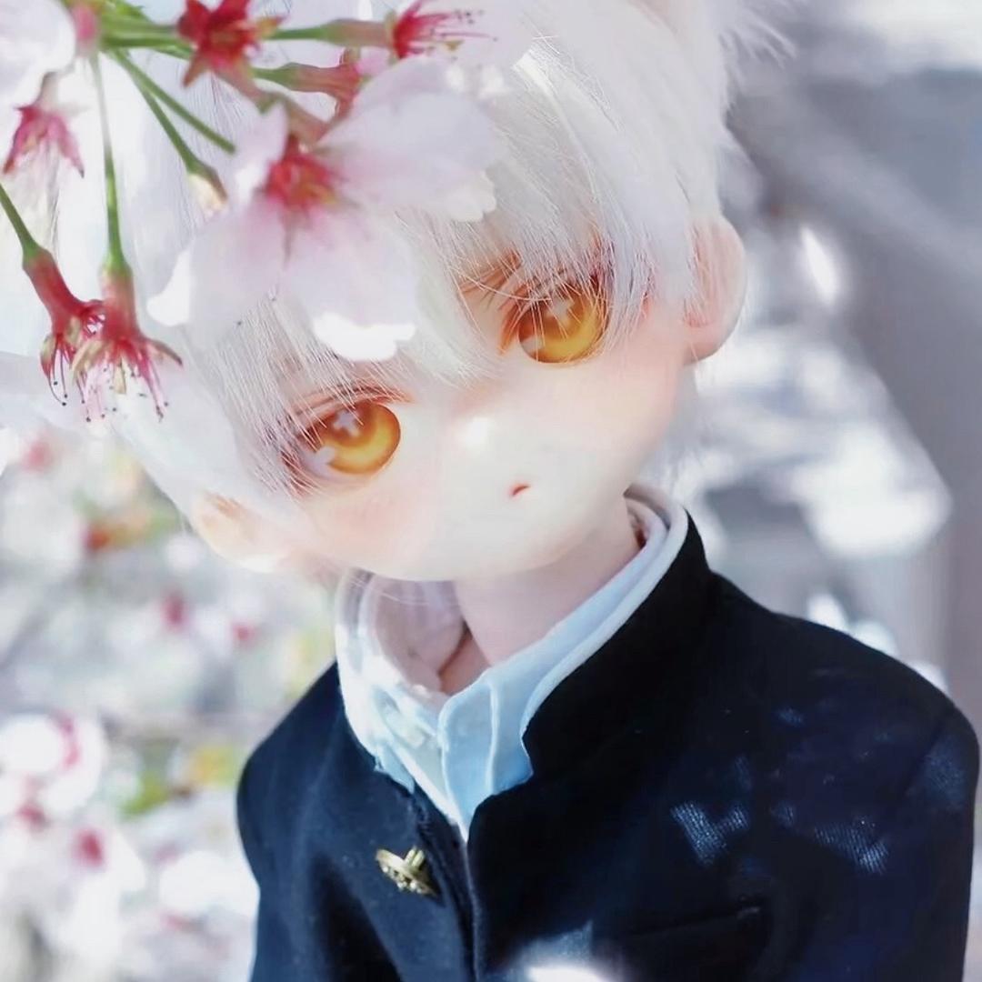 孤鹬