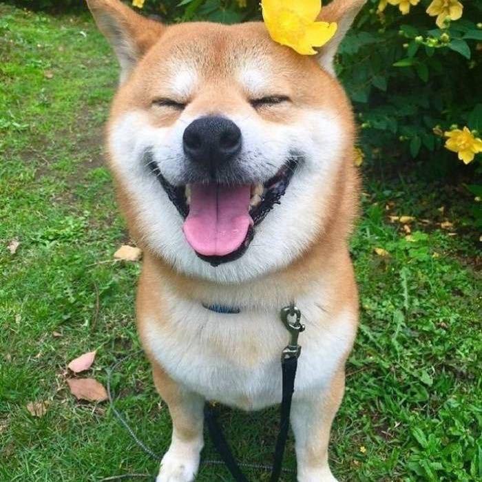 附近的人