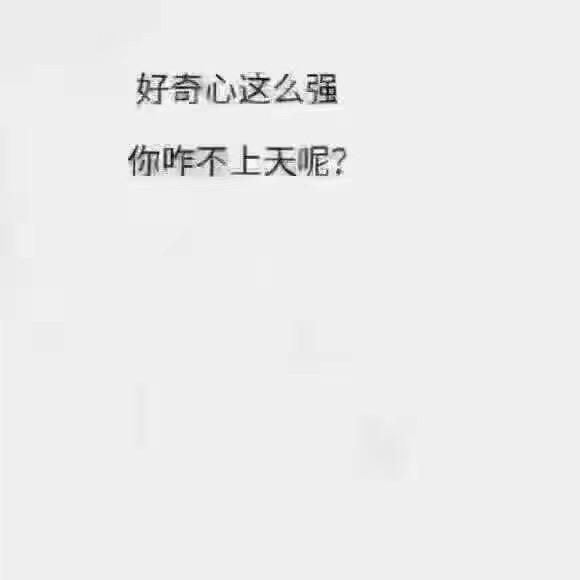 一只帅胖飞😎