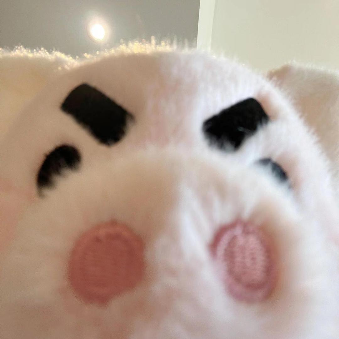 闻闻闻闻闻闻