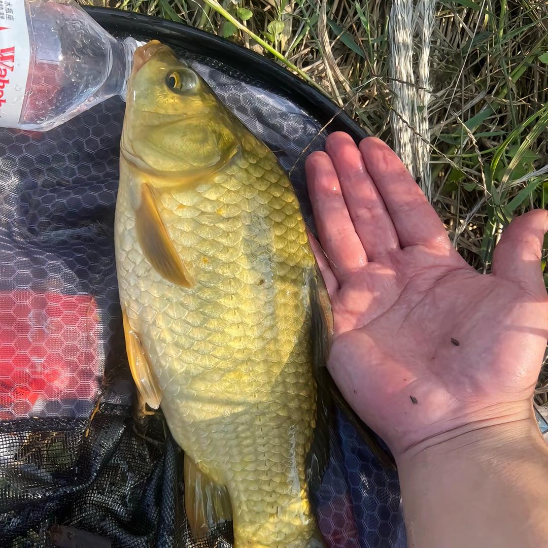 江河钓客（唐）