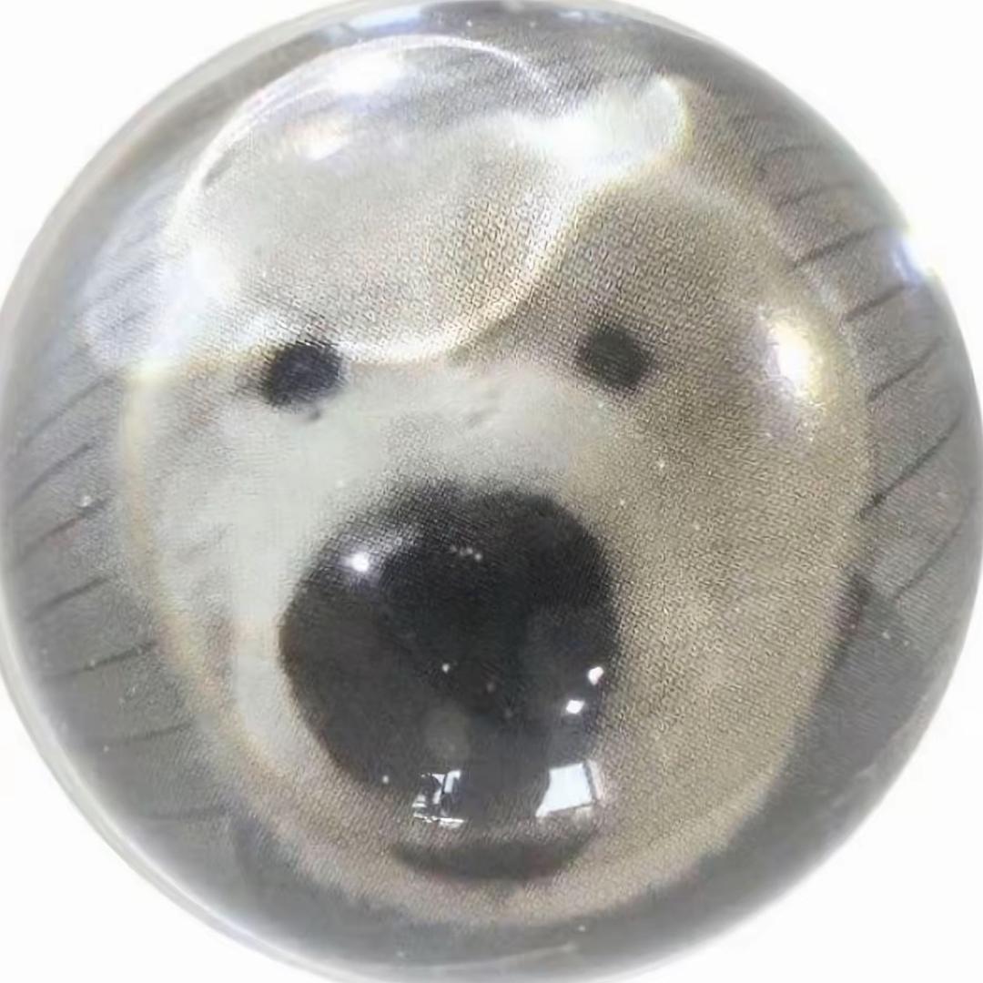 我也不想冷冰冰