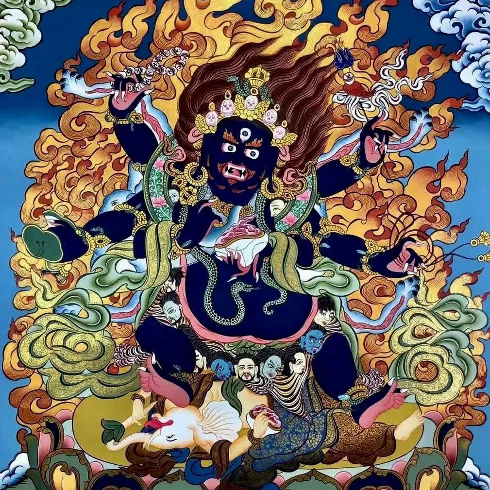 藏红花