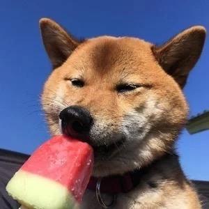百因必有果