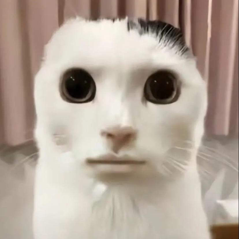 uioony