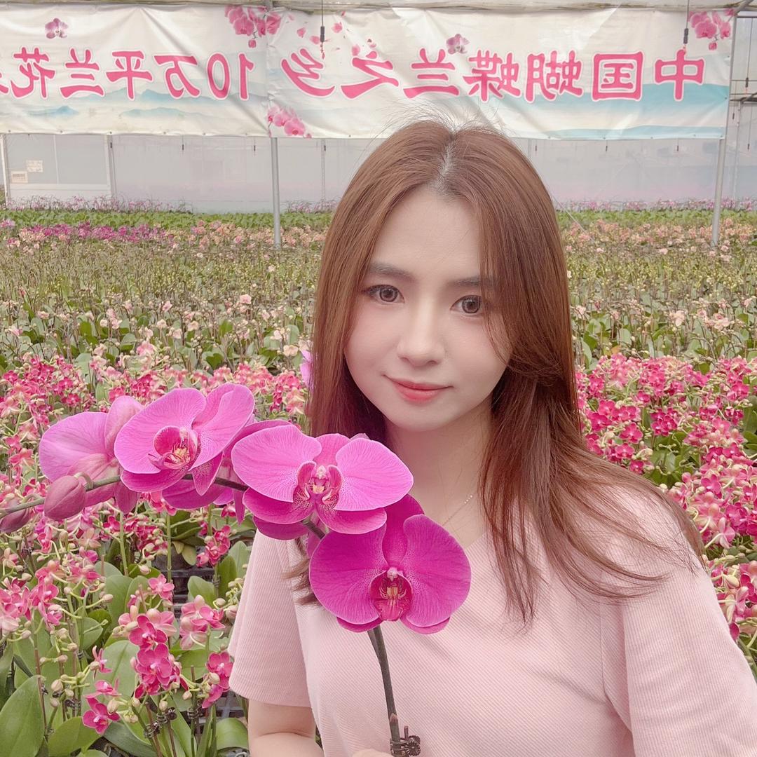 兰庭府花卉绿植园艺