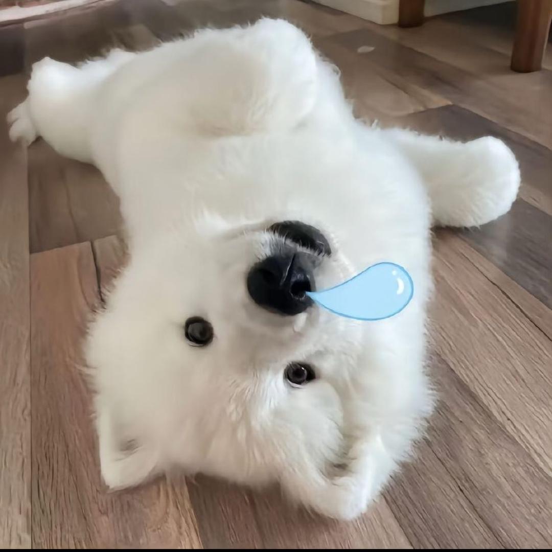 王方旋