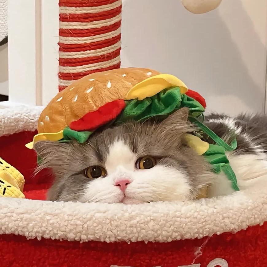 米糊肌酸蛋白粉