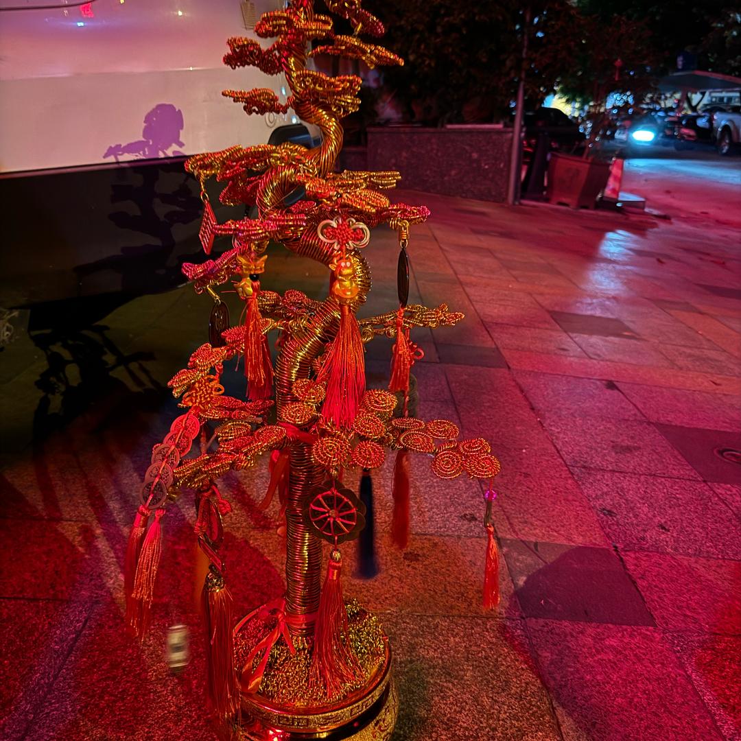 树欲静 而风不止