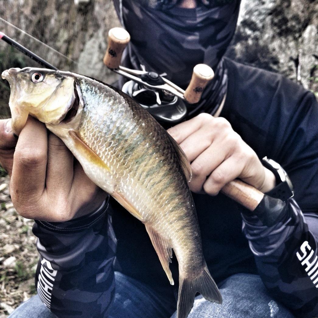 阿吉的路亚装备库