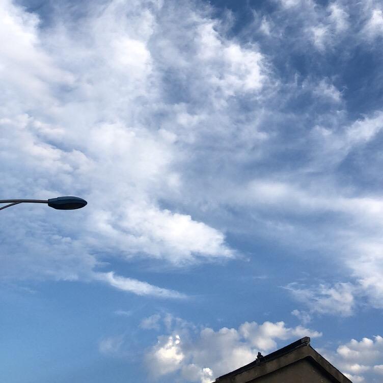 从你的全世界路过