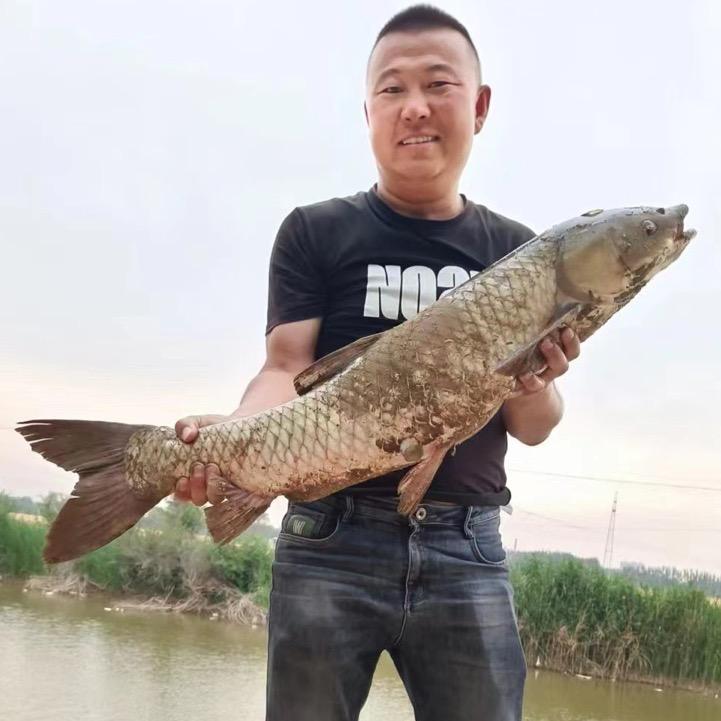 🔥城南鲢鳙钓场🔥