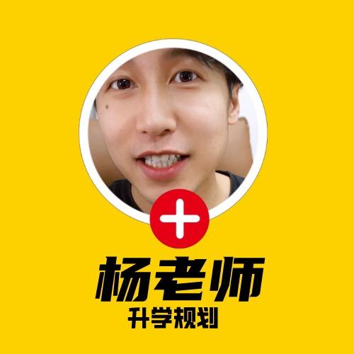 杨老师湾区国际教育