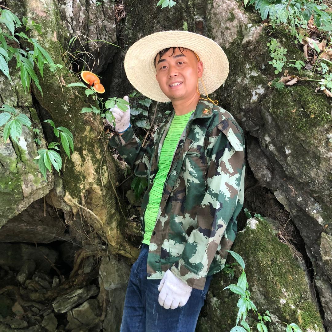 老青杠林下仙芝专卖店磊子灵芝园