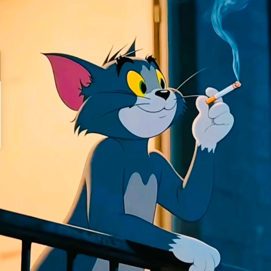 6116