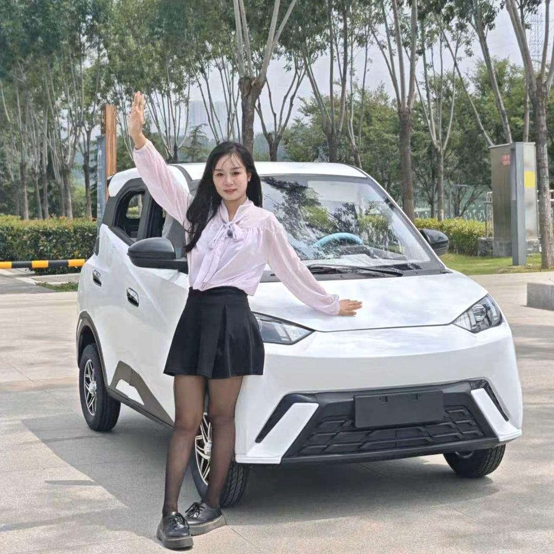 小雨新能源四轮代步车