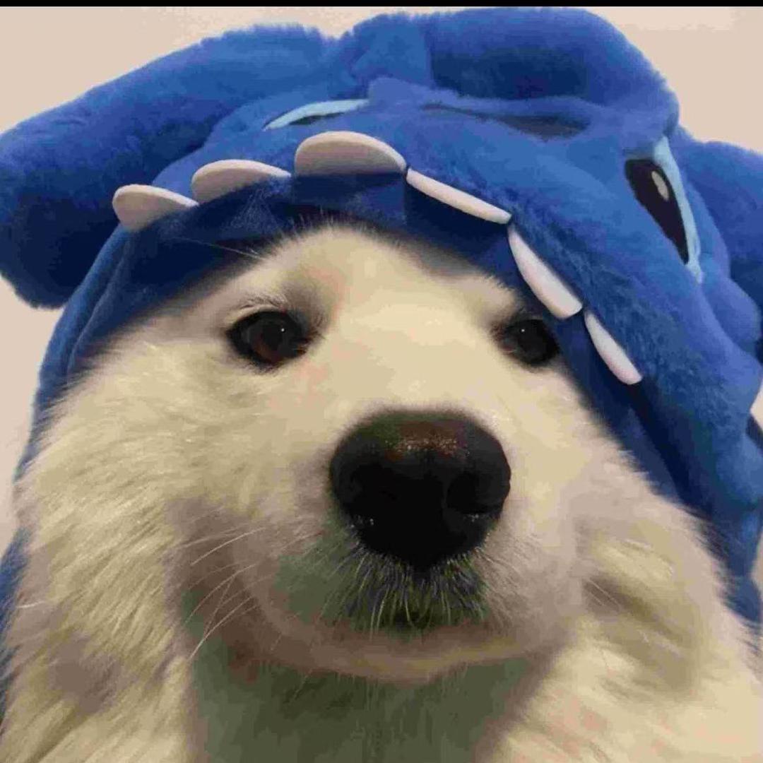 难赴
