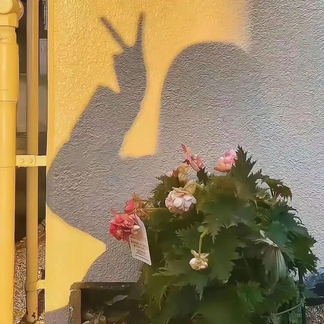……