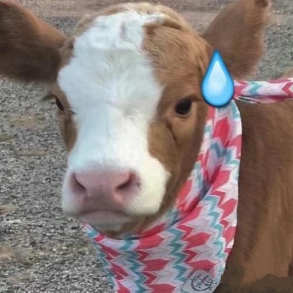 四川鑫之隆电子商务有限公司